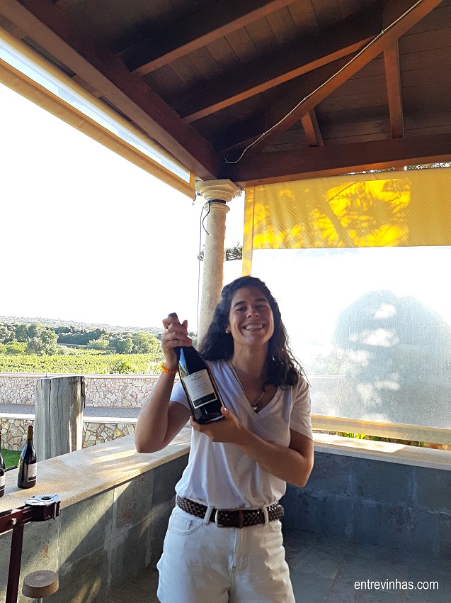 winemaker experience