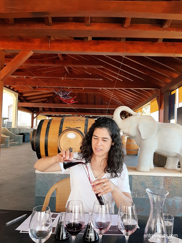 blend bottling entre vinhas