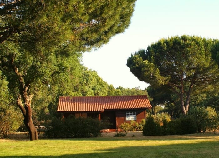 11638464_10203199305902111_953557042_o_