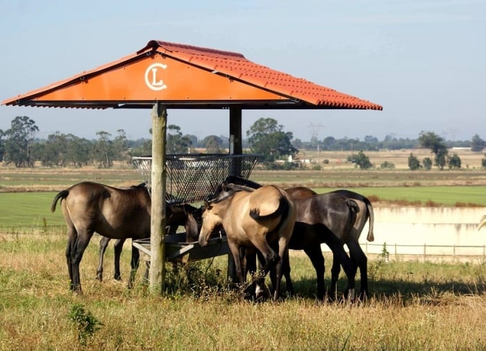 11639299_10203224172043749_619063876_o