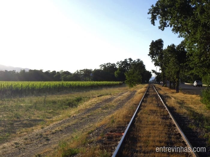 Napa Valley Califórnia enoturismo