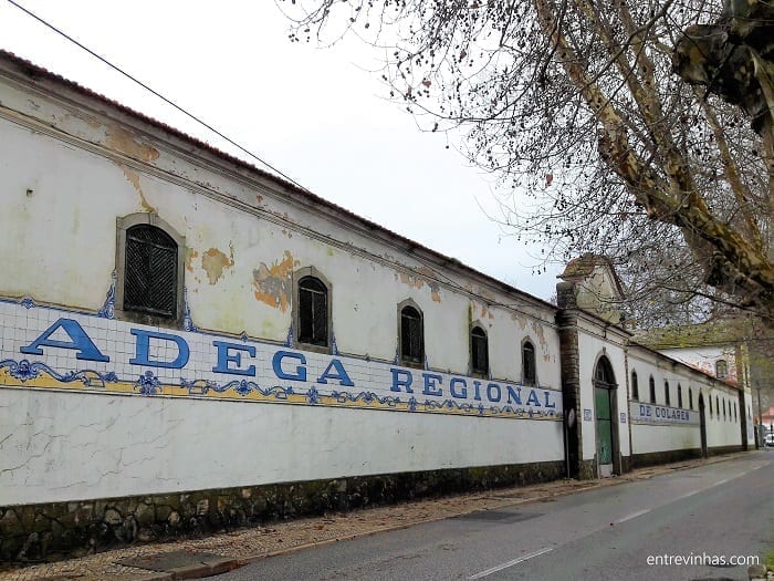adega-regional-de-colares