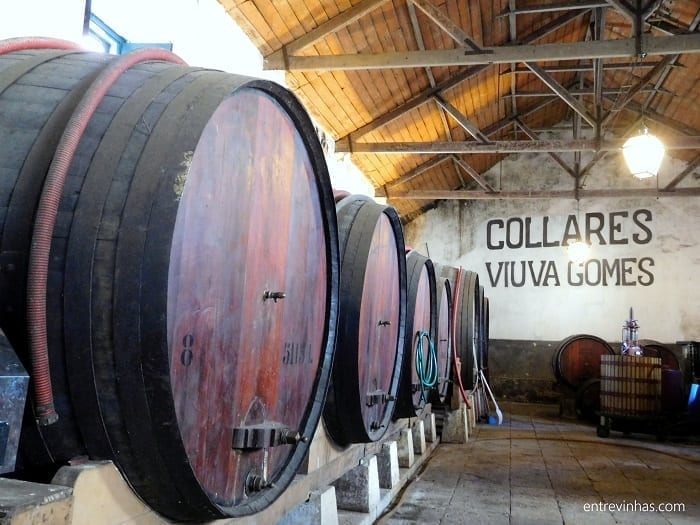 enoturismo em lisboa