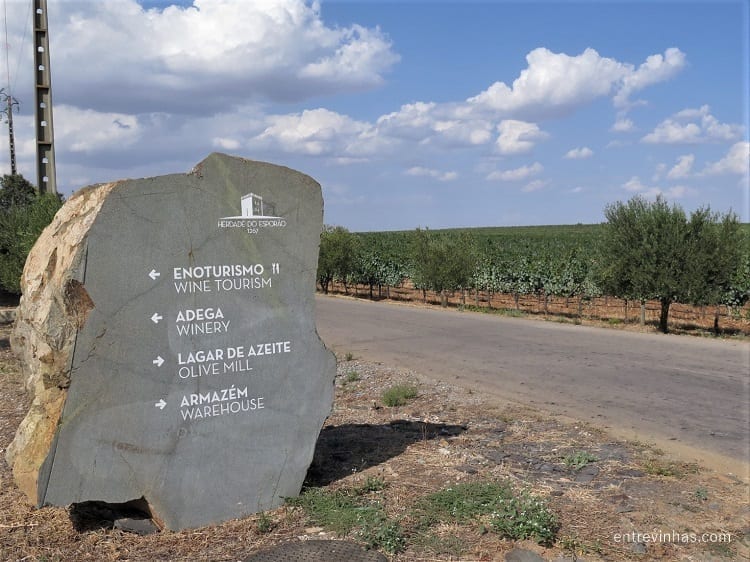 Enoturismo Herdade do Esporão Alentejo