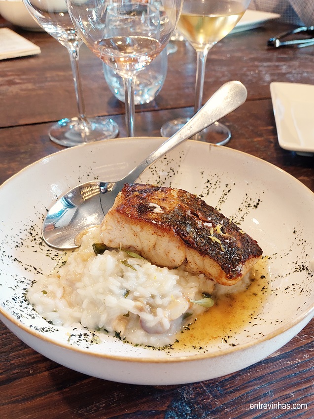corvina wine corner