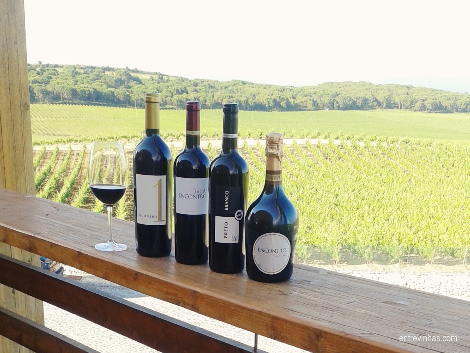 entre vinhas enoturismo no inverno