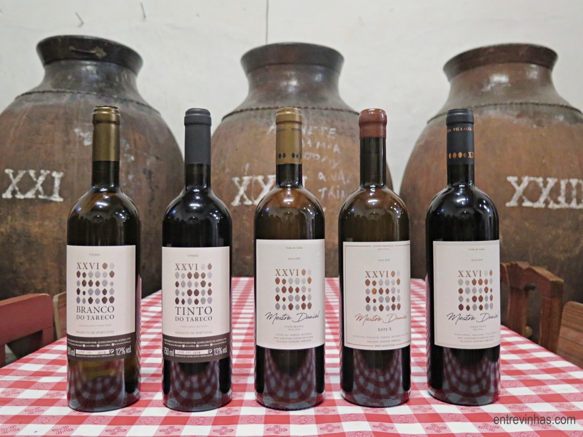 Vinho de Talha