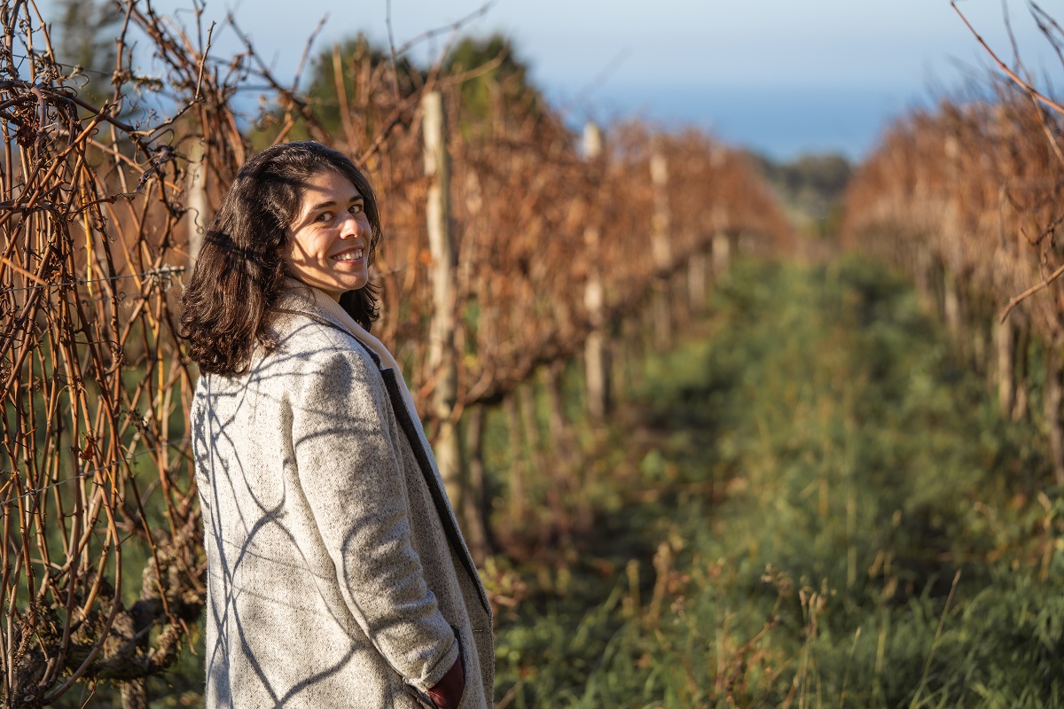 enoturismo no inverno