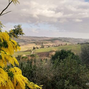 Toscana © Entre Vinhas