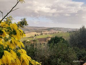 Toscana © Entre Vinhas