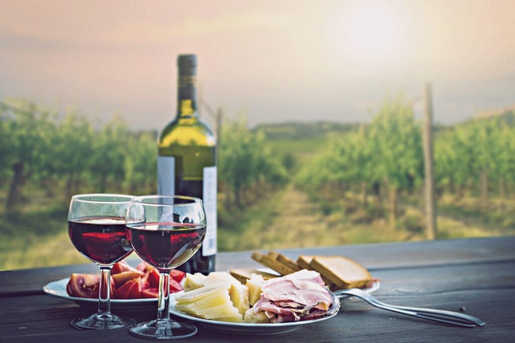 Enoturismo Portugal de Norte a Sul entre vinhos e queijos