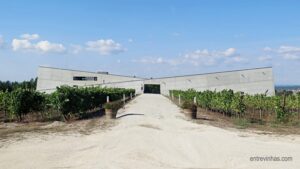 Caminhos Cruzados enoturismo Dão