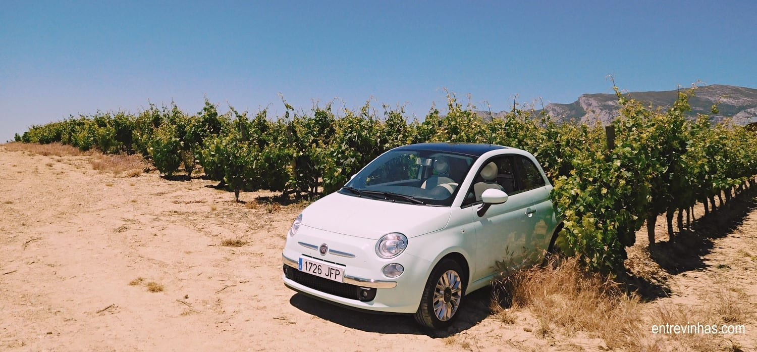 planear uma wine trip