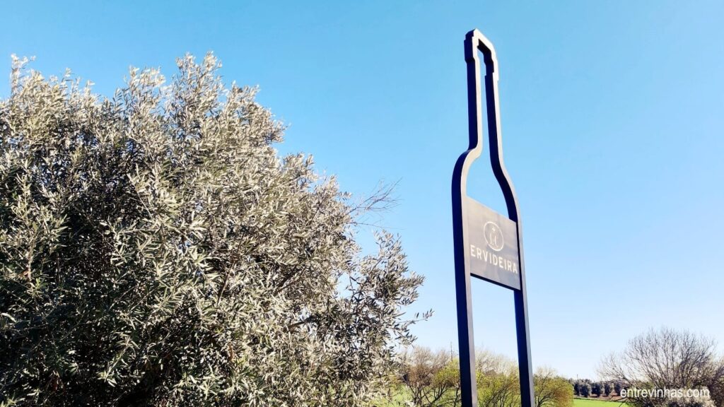 ENOTURISMO ERVIDEIRA