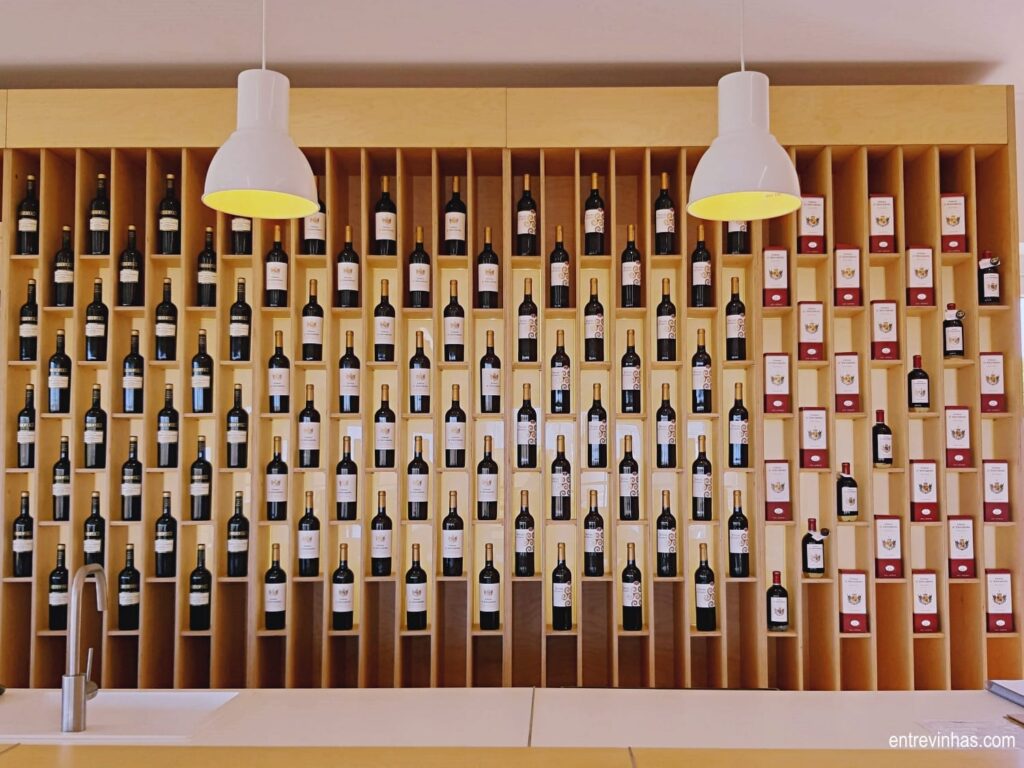 vindimas do alentejo