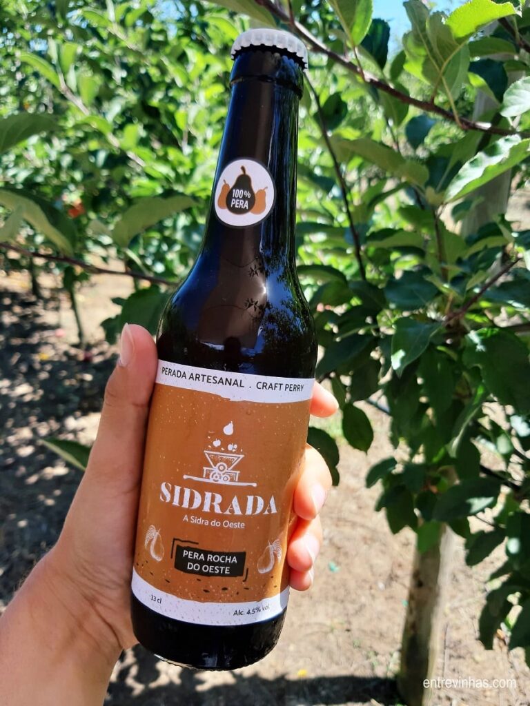 sidra pêra rocha