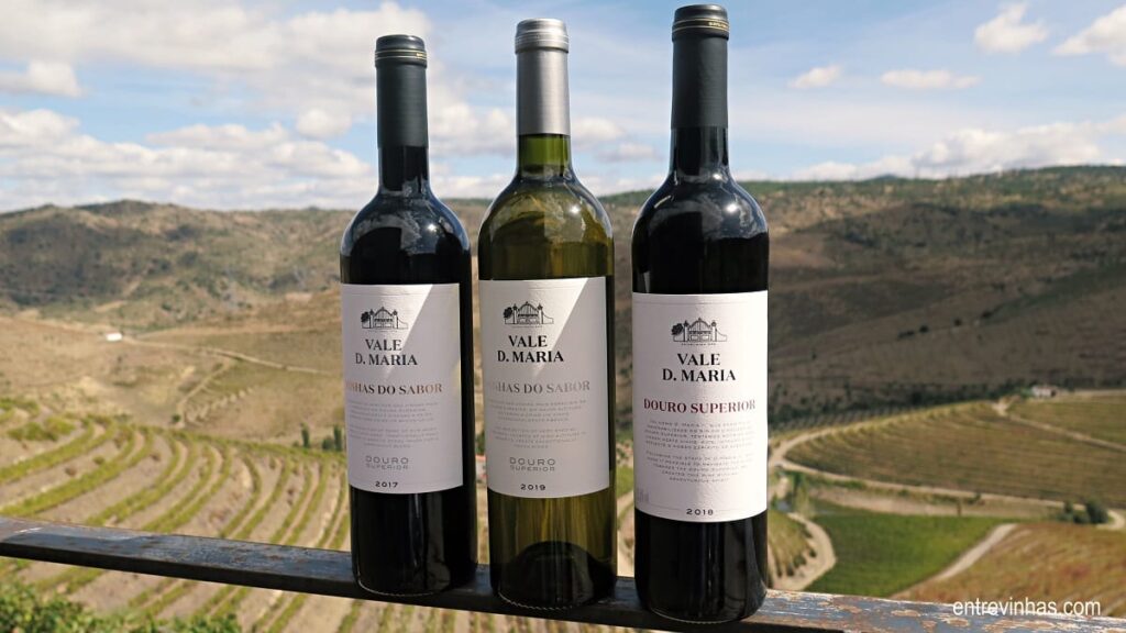 vale d. maria douro superior