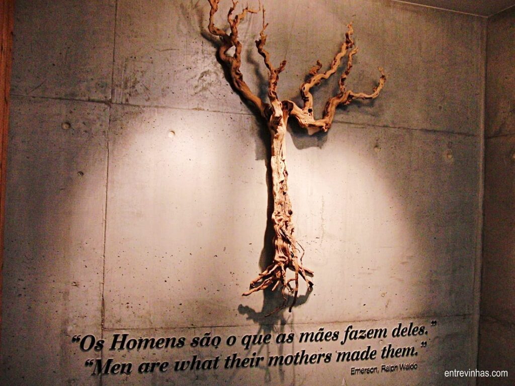interior adega mãe