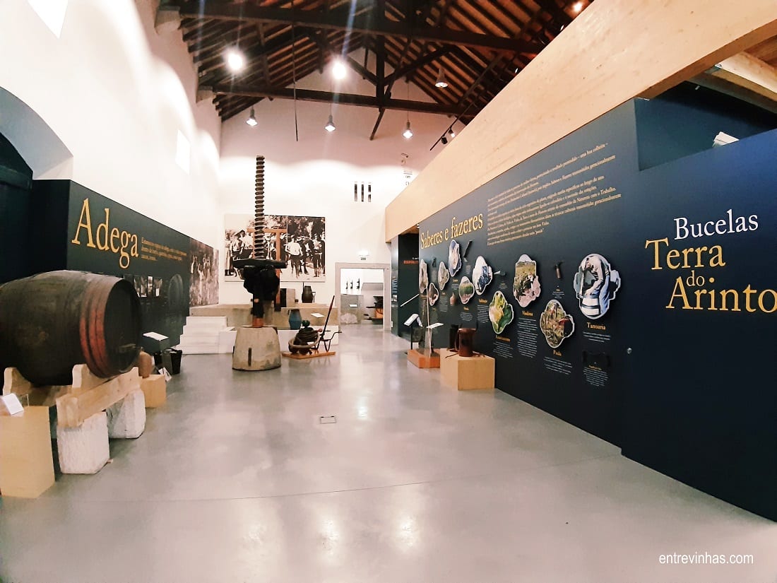 museu do vinho de bucelas
