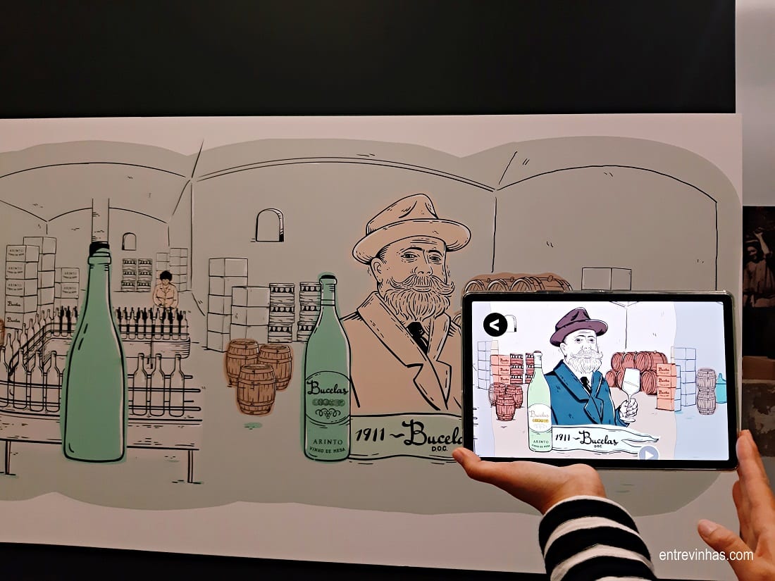 museu do vinho de bucelas