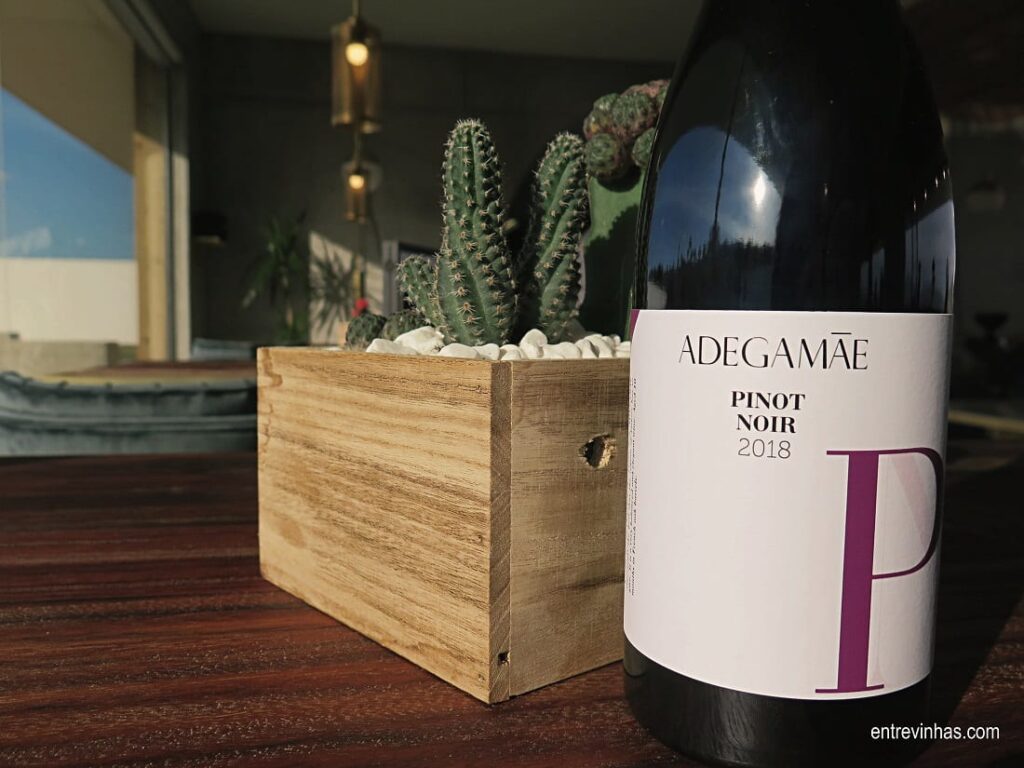 pinot noir adega mãe