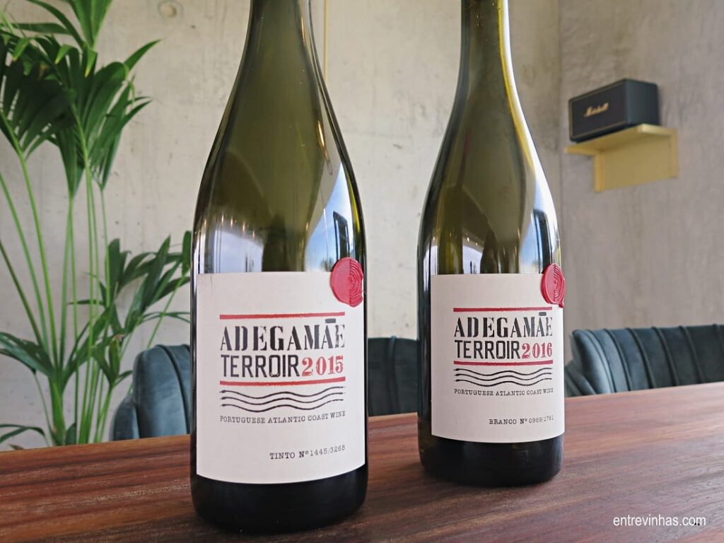 vinhos terroir adega mãe