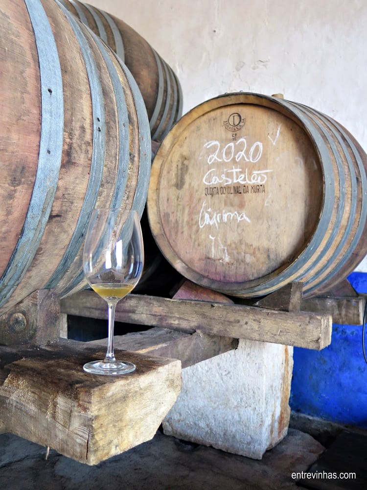 vinhos serra oca