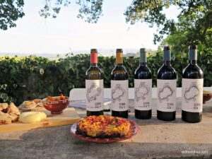 enoturismo serra oca