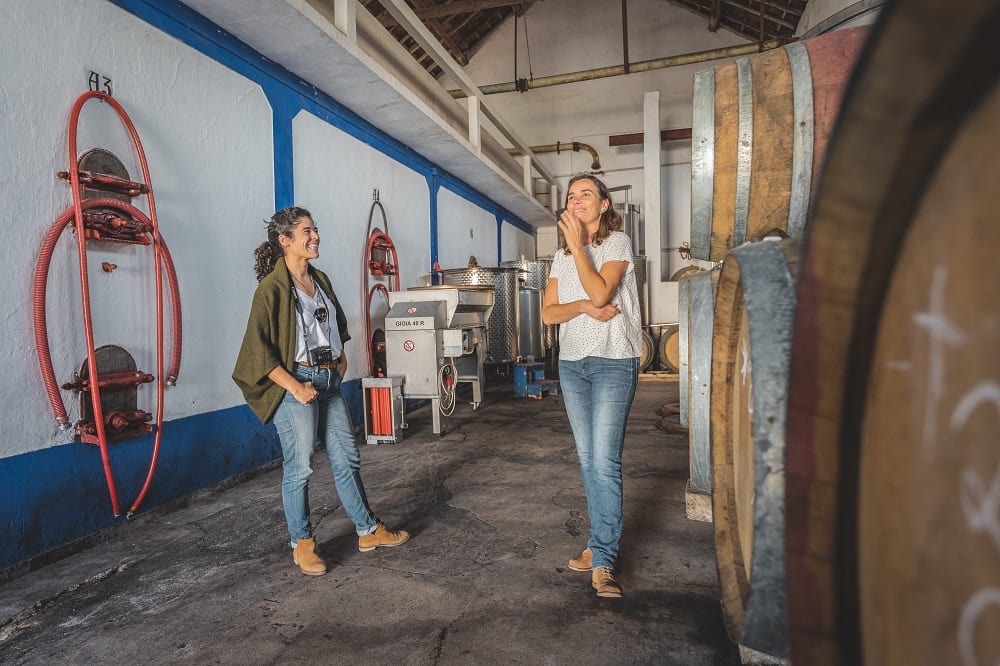 serra oca quinta olival da murta