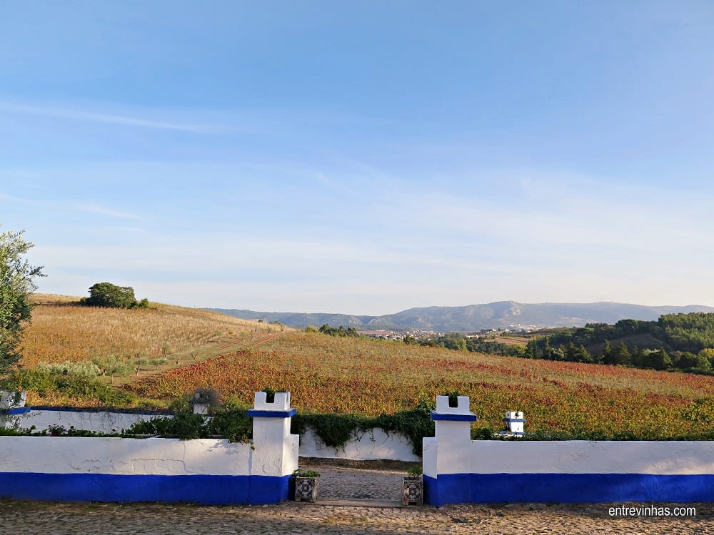 quinta do olival da murta
