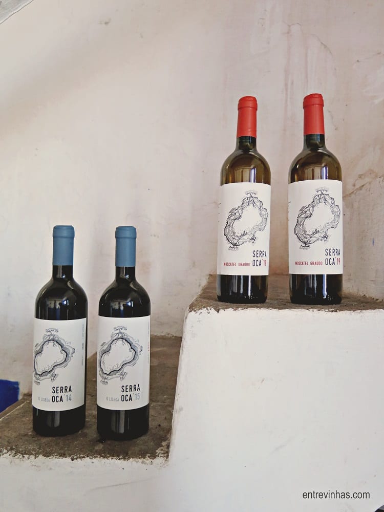 vinhos serra oca