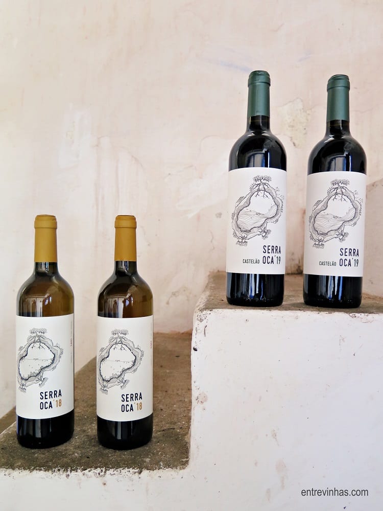 serra oca vinhos