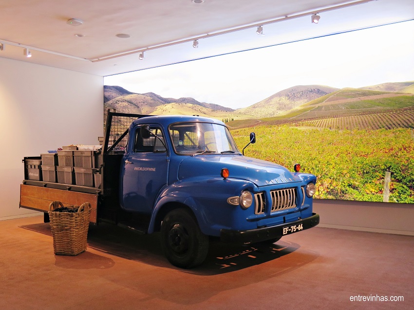 wine experience museu