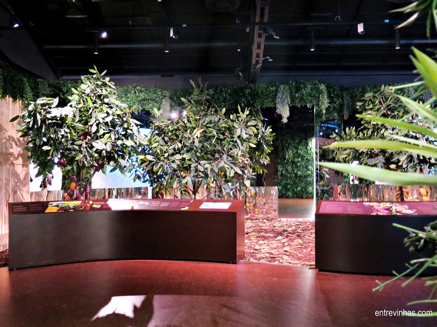 museu do chocolate