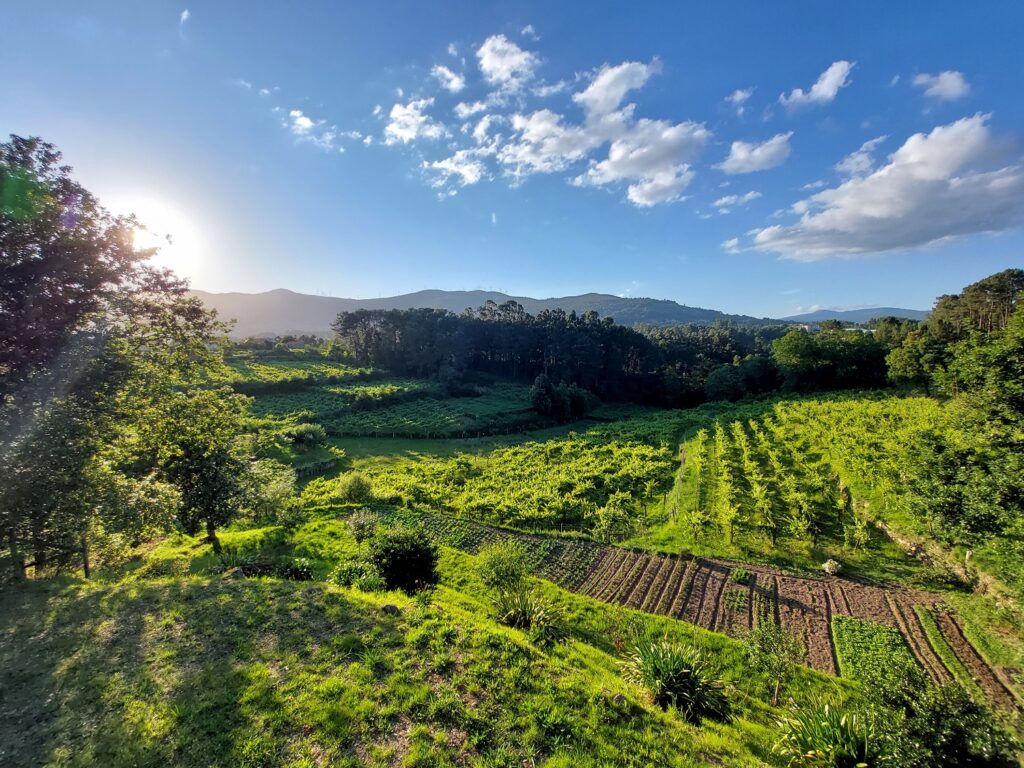 Melgaço em dois dias