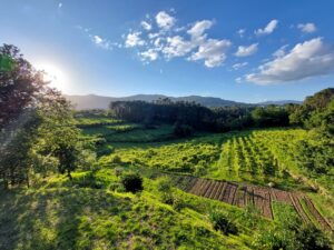 Melgaço em dois dias