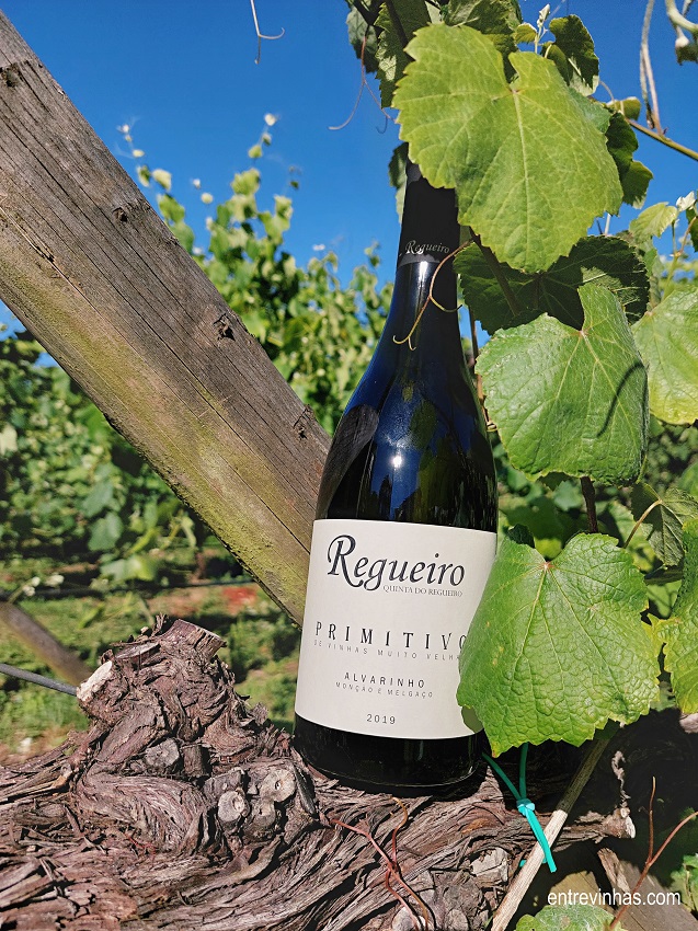 enoturismo quinta do regueiro