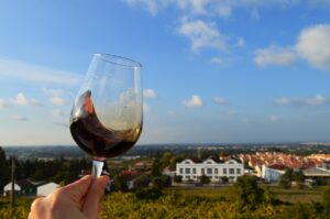 rota dos moscateis quinta do piloto