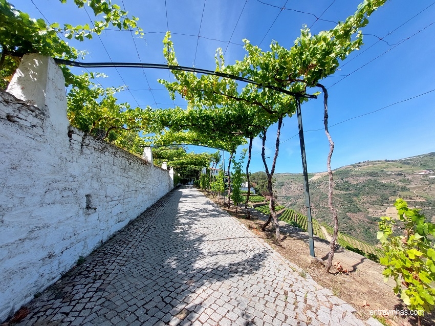 entrevinhas-quinta-do-noval