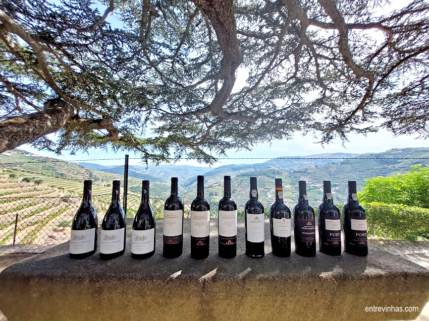 vinhos-quinta-do-noval