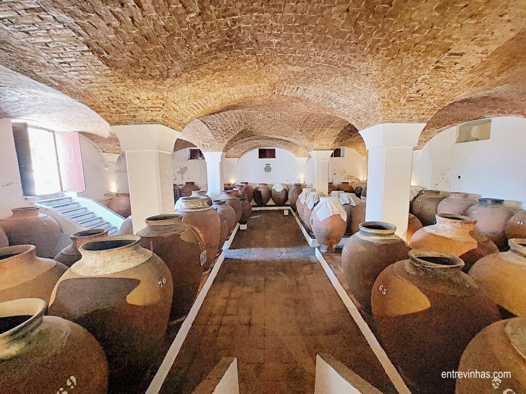adega-anforas-jose-sousa