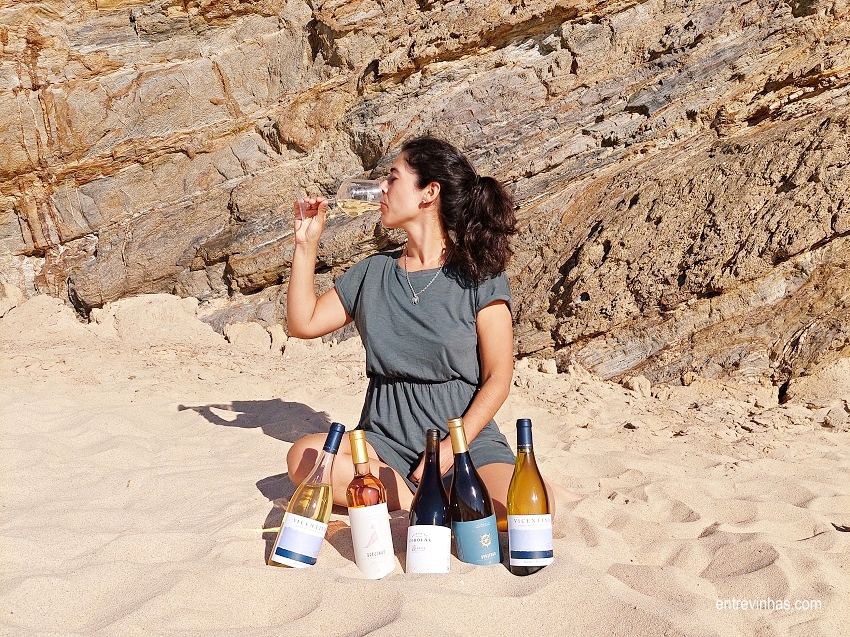 entrevinhas-enoturismo-costa-alentejana