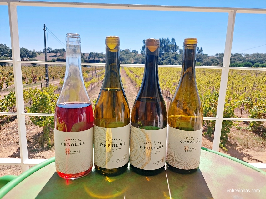 herdade-do-cebolal-vinhos