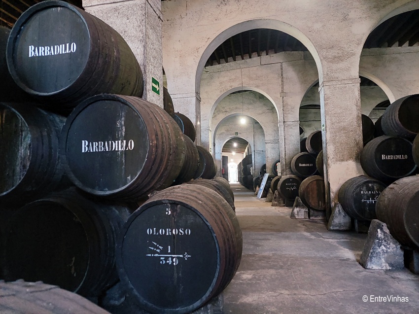 botas-bodega-barbadillo