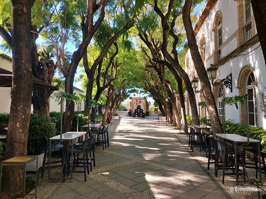 entrevinhas-bodega-osborne