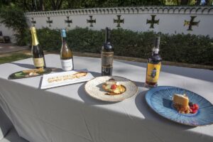 harmonização vinhos e comida