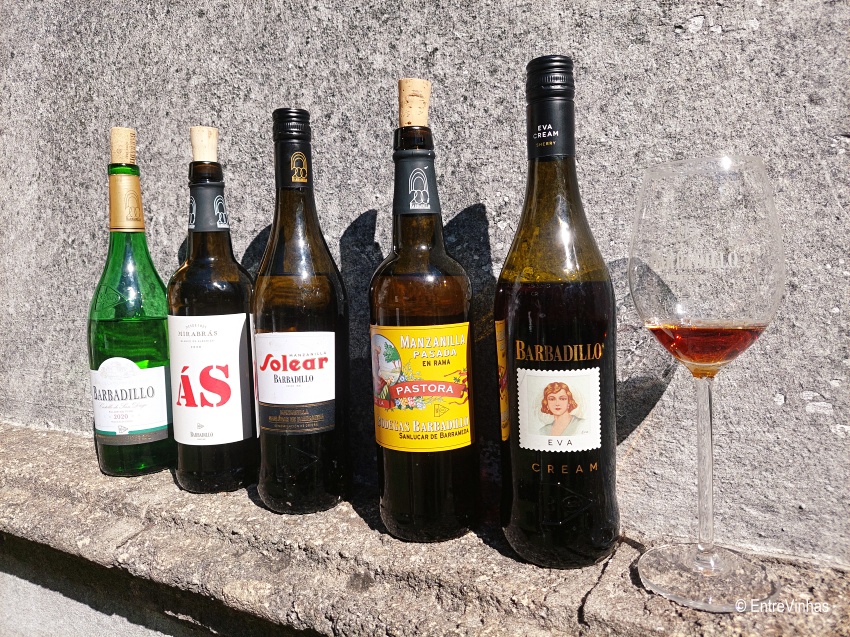 vinhos-bodega-barbadillo