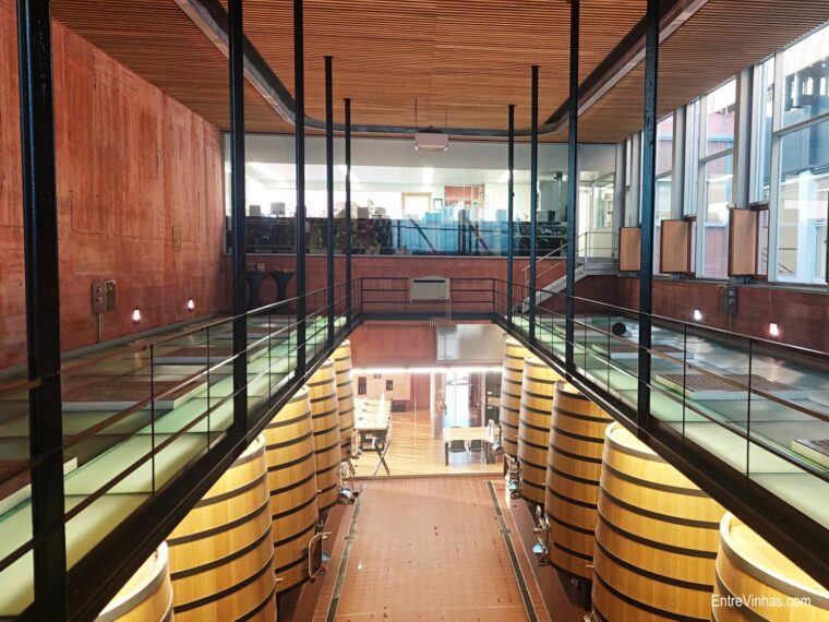 _bodega-pago-de-carraovejas