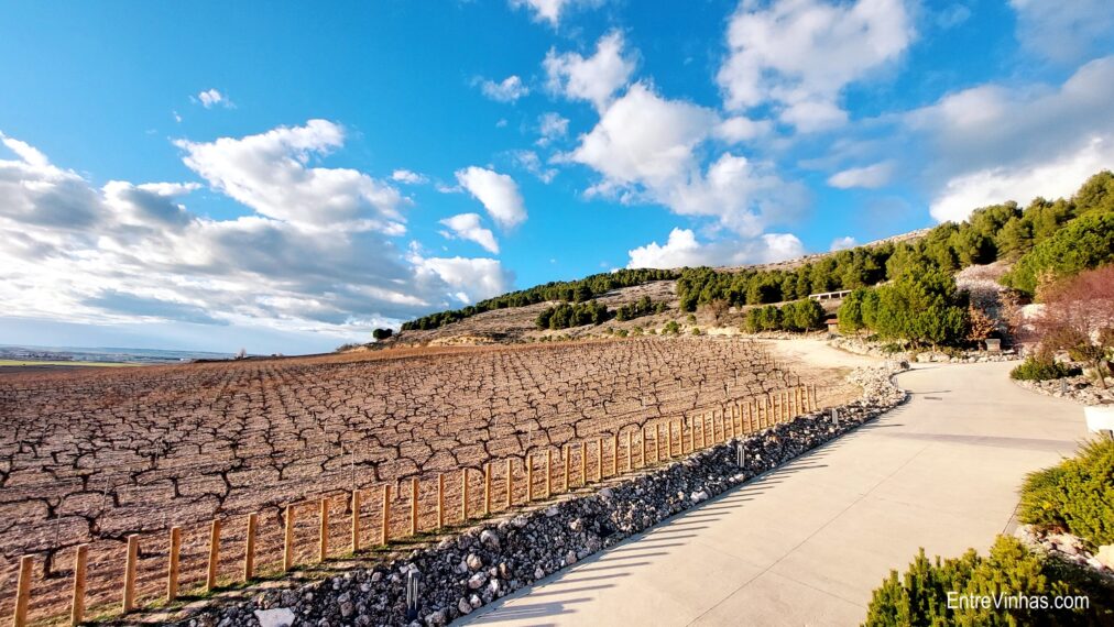 ruta-ribera-del-duero