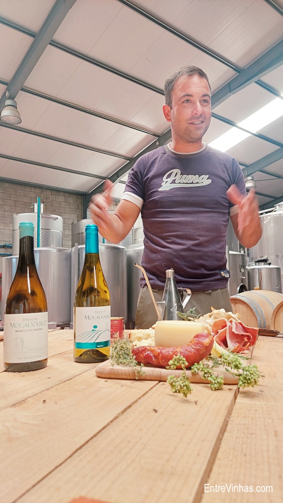 enoturismo em trás-os-montes